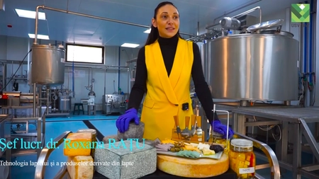 Testări inedite în mini făbricuţa de lactate a USV Iaşi. Cum a fost reinterpretată brânza Cheddar - VIDEO