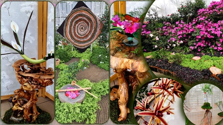 Punct de atracție al acestei ierni, deschis la Iași! Totul se desfășoară într-un spațiu spectaculos din oraș – GALERIE FOTO