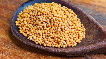 Boabe de muștar. Remediul excelent pentru răceli