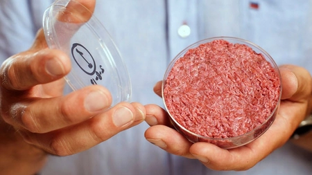 Uniunea Europeană ar putea da undă verde pentru carnea sintetică. Specialiștii: „Mâncarea în eprubetă e mai sigură”