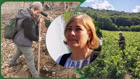 Doctorița pădurilor din județul Iași. Georgeta Coroș trăiește de 32 de ani în mijlocul naturii. „Nu a fost ușor din niciun punct de vedere” - FOTO