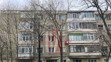 Un copac rupt a căzut pe peretele unui bloc situat pe şoseaua Naţională - FOTO
