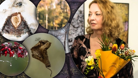 Vernisaj special la Iași! Cum arată natura în ochii Oanei Daian: „Între rame e prinsă o emoție” - GALERIE FOTO