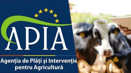 APIA acordă măsuri de sprijin de urgență pentru producătorii agricoli din sectorul cereale
