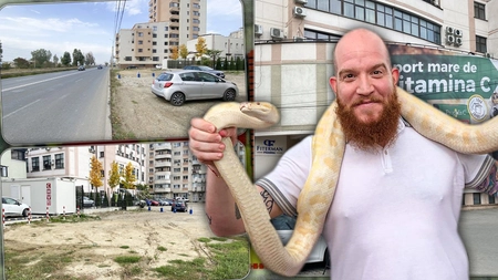 Locuitorii din Păcurari sunt luați de proști de familia Fiterman! Proiectul cu clădirea de 9 niveluri a fost reactivat. Vor interveni avocații – FOTO