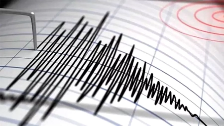 Cutremur în zona seismică Vrancea. Ce magnitudine a avut