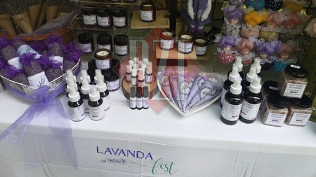 A început Lavanda Fest, în parcul Expoziției din Iași. Producători din toată ţara, prezenți la a doua ediție a evenimentului - GALERIE FOTO