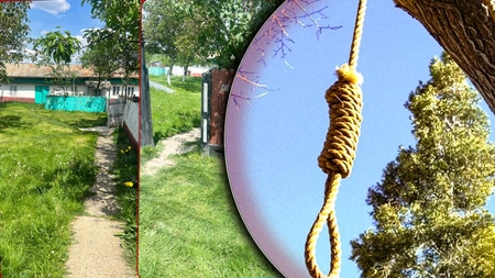 Poveste de groază la Iași! Un bărbat a plantat un copac și a așteptat să crească să se poată spânzura de el. Ieri dimineață a fost găsit mort în spatele casei (EXCLUSIV) – FOTO