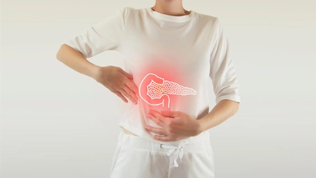 Pancreasul endocrin. Cât de periculoasă este dereglarea glandei pentru alte organe?