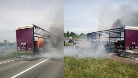 Incendiu în județul Iași. Un camion cu <em class='ep-highlight'>pește</em> a luat foc pe raza comunei Ruginoasa