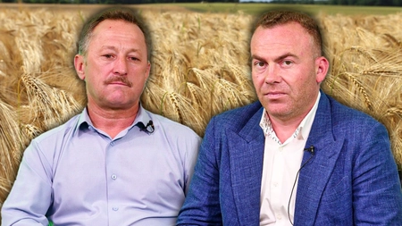 Fermierii din Iași, nemulțumiți de prețurile cerealelor. Agricultor: „Sunt derizorii. Nici cu 5 tone nu acoperim cheltuiala” - FOTO