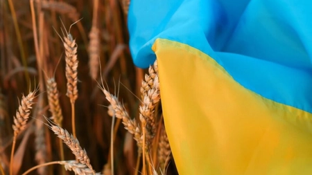 Ucraina vrea o nouă rută pentru cereale prin apele României şi Bulgariei