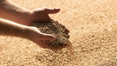 Ucraina și Croația au convenit asupra unui acord cu privire la utilizarea porturilor pentru a exporta cereale ucrainene