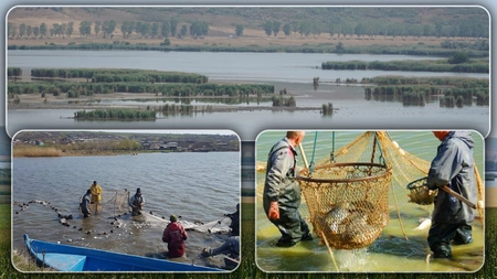 Piscicultorii au iesit în stradă, în fața Ministerului Agriculturii. Fermierii ieșeni sunt nemulțumiți de reacția autorităților și vor soluționarea urgentă a problemelor - UPDATE