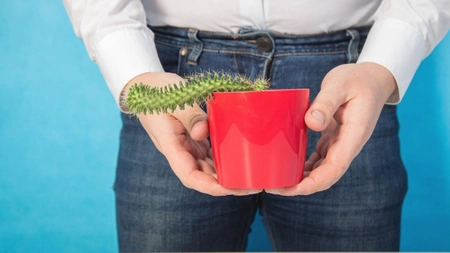 Adenomul de prostată – despre procesul de recuperare după operația de prostată