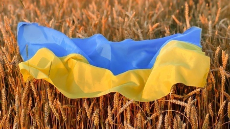Slovacia restricţionează şi ea importurile de cereale din Ucraina, alături de Polonia şi Ungaria