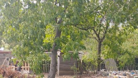 Caz halucinant la Vaslui! O elevă premiantă și-a omorât nou-născutul și l-a aruncat în toaletă