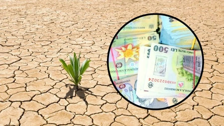 Consiliul UE a aprobat un ajutor de 33,9 milioane de euro pentru România afectată de seceta din 2020