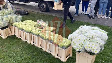 Baldachinul pe care vor fi aşezate moaştele Sf. Cuvioase Parascheva, împodobit cu flori. Familia Buștei, prezentă la Iaşi pentru al 20-lea an consecutiv - UPDATE, GALERIE FOTO