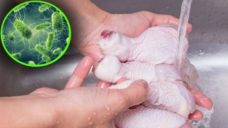 Focar de salmonella asociat cu carnea de pui, în Europa! Cel puțin 15 țări sunt afectate