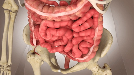 Ce opțiuni de tratament pentru enterocolită la adulți există. Cauzele și prevenția acestei afecțiuni gastrointestinale