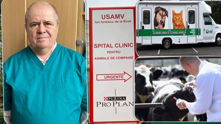 Spitalul Veterinar de Urgență al USV Iași va avea o unitate mobilă: „Urmează să se achiziționeze mașina, un autolaborator în care includem toată aparatura necesară” - FOTO