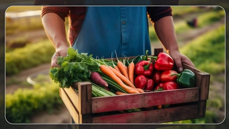 Ultimele zile de plăți la APIA! Ce fermieri din Iași se află pe lista beneficiarilor