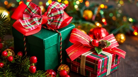 Crimă de Crăciun. O tânără de 23 de ani a fost ucisă de fratele ei, în urma unei dispute despre cine primea mai multe cadouri