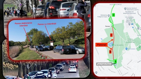 Un ieșean încearcă de trei ani de zile să facă o schimbare în Grădina Botanică: „S-a discutat în Consiliul Local, dar numai promisiuni, atât din partea domnului primar, cât și a viceprimarului” - FOTO