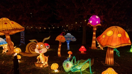 Expoziție cu <em class='ep-highlight'>peste</em> 170 de instalații luminoase, în Iulius Gardens: tigri, delfini, un pui de elefant în mărime naturală și alte creații, la „The Glowing Garden”
