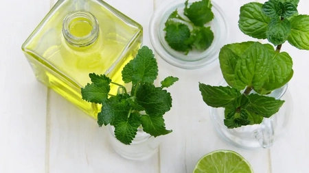 Sirop de mentă fără zahăr. Cum se prepară și care sunt beneficiile acestuia