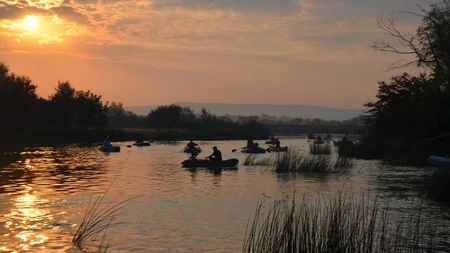 Guvernul a luat decizia! Este interzisă această activitate