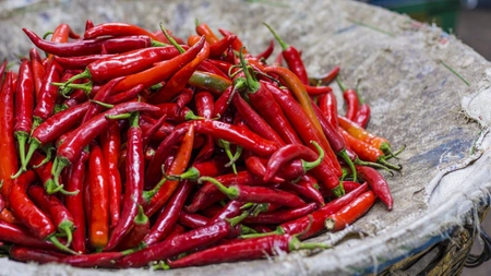 Eficiența plasturilor cu ardei iute în neuropatia diabetică. Ce efecte are capsaicina, potrivit studiilor