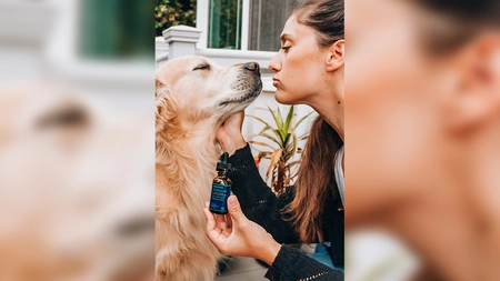 Descopera uleiul CBD pentru animale (P)