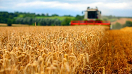 Fermierii din Iași au început campania agricolă. Recoltă mai slabă, prețuri mai mici decât anul trecut