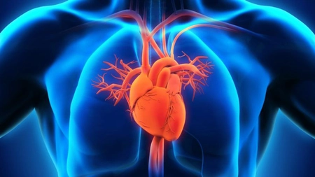 Insuficiență cardiacă congestivă – Care sunt cauzele ei și cum poți să o previi