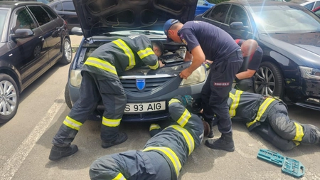 Pisică salvată de pompierii ieșeni! Felina era blocată în zona compartimentului motor al unui autoturism - FOTO