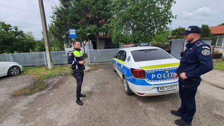 Incident în comuna Țibana, s-a deschis dosar penal pentru rănirea unui cal
