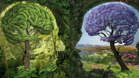 Ce înseamnă holistic? Avantajele medicinei dar și ale psihologiei holistice