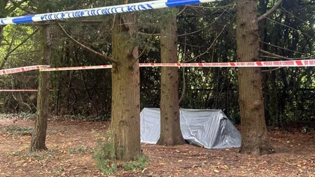 Descoperire șocantă într-un parc din Londra! Organe umane aruncate într-un container