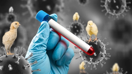 O nouă pandemie lovește lumea! Au început să cumpere milioane de doze de vaccinuri