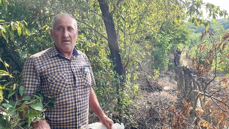 Scandal uriaș la Schitu Duca! Ce a pățit un bărbat după ce a plantat peste 500 de salcâmi. Nici lui nu i-a venit să creadă una ca asta