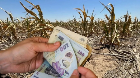 Românii primesc cel puțin 1.000 de lei! Când intră banii pe carduri și cine îi primește