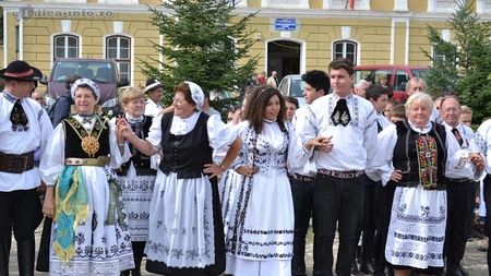  Cine sunt sașii? Cei ce au sprijinit cauza românească în Transilvania în timpul Revoluției de la 1848