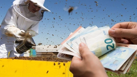 Apicultorii din Iași sunt verificați de APIA. Primesc ajutoarele financiare până la finalul anului