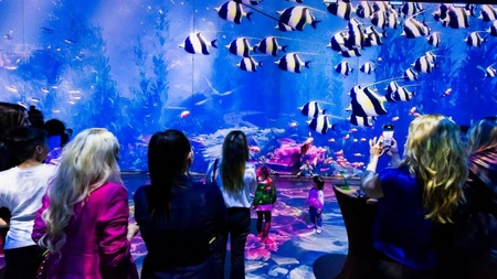 MINA Pop-Up aduce, în Iulius Town, începând cu 3 octombrie, spectacolul imersiv pentru copii „Lumea Subacvatică” și show-urile „Constelații Interioare” și „Van Gogh”