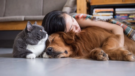 Proprietarii de câini și pisici sigur nu știu asta! Iată ce spun medicii despre atașamentul față de un animal de companie