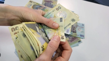 Nu ai studii superioare? Ai un job unde poți câștiga câteva zeci de mii de lei pe lună, însă ai nevoie de un câine!