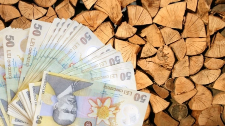 Cât este ajutorul de lemne în anul 2024? Suma de bani oferită de statul român s-ar putea să vă surprindă!