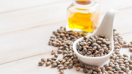 Ce contraindicații are uleiul de ricin? Ce substanță toxică conține acesta?
